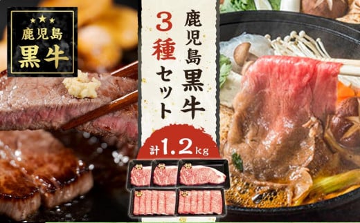 鹿児島黒牛サーロインステーキ(3枚)・すきやきしゃぶしゃぶセット【S-1801】