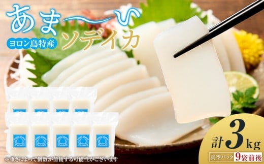 ヨロン島特産☆あま～いソデイカ 3kgセット