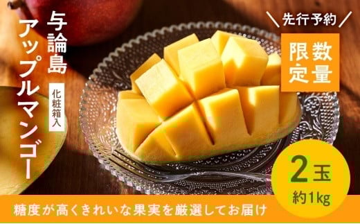 【数量限定】鹿児島 与論島アップルマンゴー特A秀品大玉2個約1キロ 化粧箱入り【先行予約】