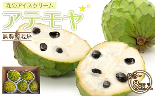 【先行予約】※数量限定 無農薬栽培 森のアイスクリーム アテモヤ2kg~2.4kg(凡そ5玉~8玉)