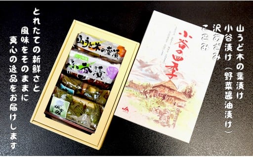 小谷の四季(山菜漬物セット)