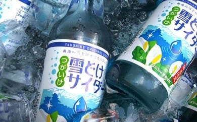 雪どけサイダー20本セット 340ml×20本