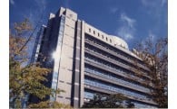 市長におまかせ
