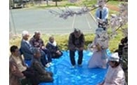 医療・福祉に関する事業