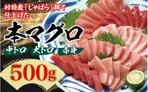 本マグロ(養殖)トロ&赤身セット 500g [1ヶ月以内に発送][配達日指定不可]まぐろ マグロ 鮪 中トロ 赤身 柵[nks110D]