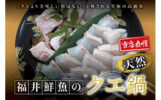 [先行予約]幻のクエ!国産 天然クエ鍋 500g くえ 鍋 セット [fki104]