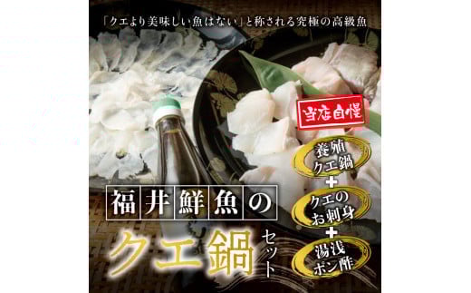 【先行予約】幻のクエ!国産 くえ刺身&鍋 湯浅ゆずポン酢セット くえ 鍋 セット【fki103】