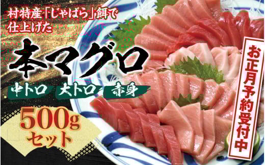 本マグロ(養殖)トロ&赤身セット 500g 【年末発送(12月25日~30日発送)】【配達日指定不可】【nks110D-sg】