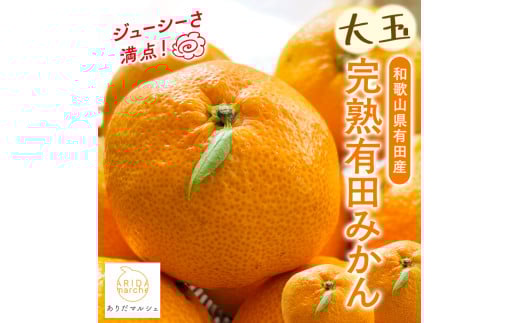 【先行予約】【果汁たっぷり】迫力満点！ 大粒 有田みかん 10kg+200g【2025年11月中旬～12月下旬順次発送予定】【ard055C】