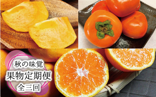 【全3回定期便】秋の味覚 果物定期便 柿・みかん 旬のフルーツを毎月お届け♪ひらたねなし柿・富有柿・田村みかん【tkb130】