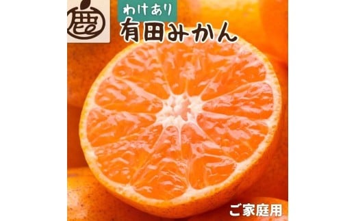 [先行予約]家庭用有田みかん サイズ混合(2S〜2L) 5kg+250g ※11月より発送 (完熟)[わけあり・訳あり][光センサー選果]※北海道・沖縄・離島配送不可 / みかん くだもの フルーツ 柑橘 果物[ikd007C]