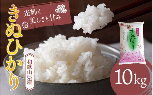 和歌山県産 キヌヒカリ 10kg(2024年産) 産地直送 米 こめ ご飯 ごはん【sml100E】