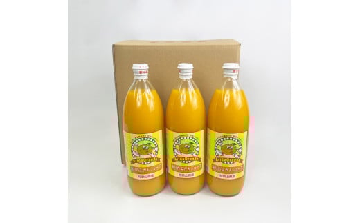 【和歌山県有田産】100%温州みかんジュース (970ml×12本セット)/ジュース みかん  【tss006A】