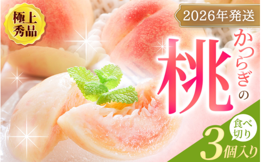 [先行予約][厳選]あふれる果汁で口いっぱい! 食べきりサイズ 和歌山県産 桃 3玉 [2026年6月末頃〜2026年8月末頃に順次発送予定](お届け日指定不可)/ 桃 もも モモ フルーツ 果物 くだもの 旬 人気 産地直送 甘い[kgr002]