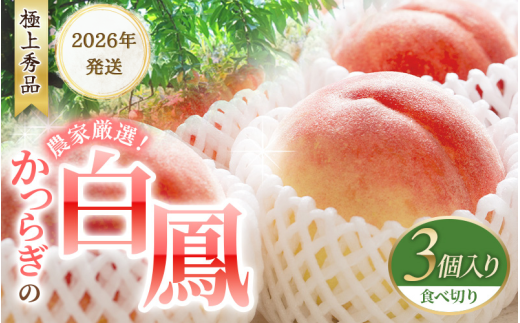 [予約受付] 桃の王様 白鳳 [特秀品] うれしい食べきり容量 3玉 [2026年6月末頃〜2026年7月末頃に順次発送予定](お届け日指定不可)/ 桃 もも モモ 白鳳 フルーツ 果物 くだもの 旬 人気 産地直送 甘い [kgr010]