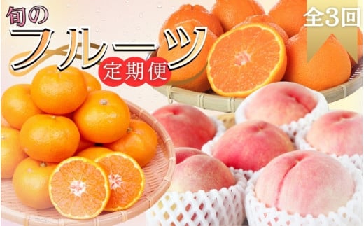 [全3回]旬のフルーツ定期便 [田村みかん 紀州デコ(不知火) 桃] 和歌山の旬をお届け / みかん ミカン 温州みかん 有田みかん 不知火 デコポン 桃 もも モモ 柑橘 フルーツ 果物 くだもの 旬 人気 甘い 定期便[tkb313]