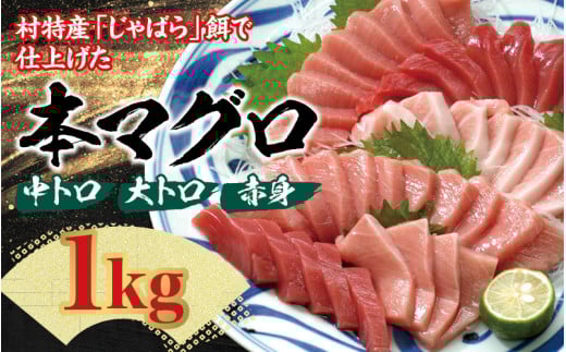 本マグロ(養殖)トロ&赤身セット 1kg [1ヶ月以内に発送][配達日指定不可] / まぐろ 鮪 とろ 赤身 魚介 海鮮 魚 本マグロ[nks105B]