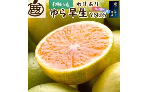 [先行予約]家庭用有田みかん サイズ混合(2S〜2L) 2.5kg+250g ※10月より発送(極早生) ※北海道・沖縄・離島への配送不可[ikd147B]