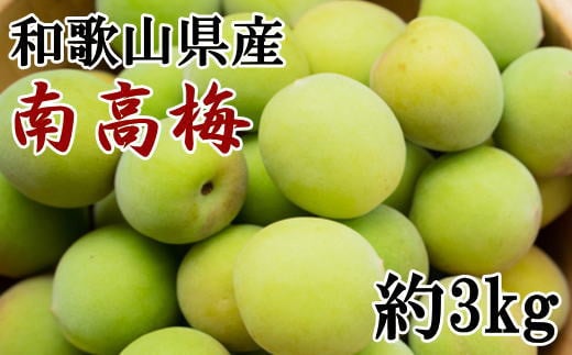 [和歌山名産]南高梅約3kg(サイズ混合) ※2026年6月上旬〜2026年6月下旬頃に順次発送[tec939A]
