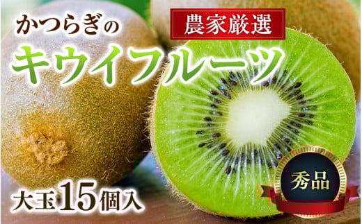 [先行予約] 和歌山県産 秀品 キウイフルーツ 大玉15個入 こだわり農家厳選 [2025年12月初旬頃から2026年1月中旬頃順次発送]/ キウイ キウイフルーツ 果物 くだもの 旬 産地直送 人気 健康 [kgr021]