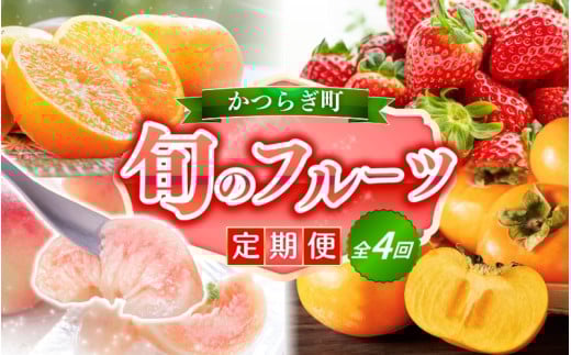 【定期便4回】フルーツ王国かつらぎ町よりお届け!旬のフルーツ定期便|【kgr025】