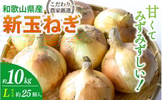 和歌山県産新玉ねぎ約10kg Lサイズ 約25個入り こだわり農家厳選!【2026年4月末頃~6月中旬に発送予定】 | 人気 おすすめ たまねぎ 玉ねぎ 玉葱 タマネギ オニオン スープ サラダ 国産 野菜 新鮮 ビッグサイズ 大きい BBQ【kgr033】