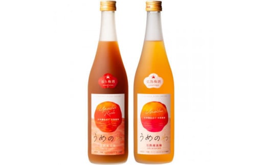 [紀州完熟南高梅使用]濃厚「ねり梅酒」と芳醇「梅酒」各720mlの飲み比べ[tecj1003]