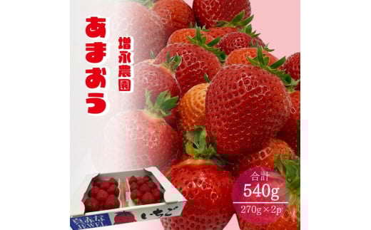 【2026年1月下旬発送開始】増永農園のあまおう270g×2パック