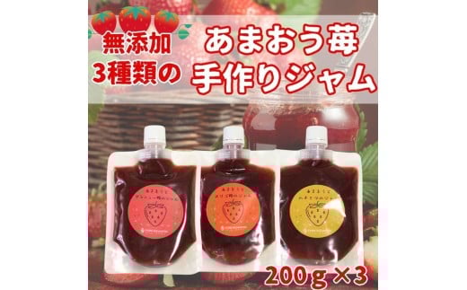 3種類のいちごジャム 無添加 あまおうイチゴ 200g×3袋 手作り 国産 チューブ パウチ入り