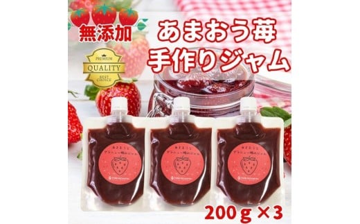 いちごジャム 無添加 あまおうとグラニュー糖のジャム 200g×3袋 手作り 国産 チューブ パウチ入り