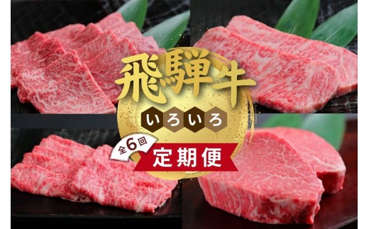 飛騨牛いろいろ定期便 毎月お届け全6回｜飛騨 飛騨高山 肉 ステーキ肉 ステーキ バラ バラ肉 切り落とし   牛 牛肉 ブランド牛 おかず 料理 夜ご飯 晩ご飯 すき焼き しゃぶしゃぶ 焼き肉 カレー シチュー 煮込み 人気 お取り寄せ