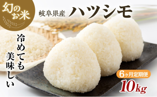 【定期便】岐阜県産 ハツシモ 10kg (6ヵ月連続お届け) 米 お米 コメ 白米 精米 ハシツモ 定期便 岐阜 瑞穂市 ※2025年11月下旬頃より順次発送予定