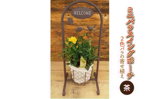 ミニバラスイングポーチ（茶色）2～3色のバラの寄せ植え 植物 　※2026年4月下旬～5月下旬頃に順次発送予定　※離島への配送不可 [№5787-0540]