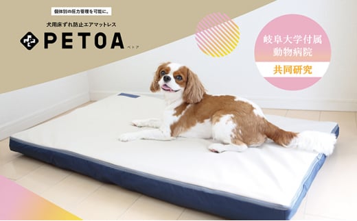 【ペット用品 犬】犬用床ずれ防止エアマット PETOA-ペトア- (小型犬用) ベージュ 活動的なワンちゃん向け [№5787-0801] ※離島への配送不可