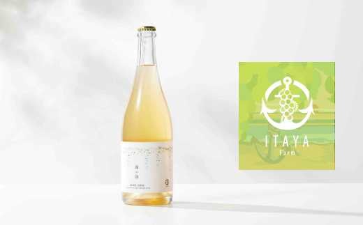 スパークリング ワイン 1本 720mL 白ワイン ベース 果実感 蜂蜜 洋梨 バナナ 香り 贈り物 贈答 ギフト プレゼント シャルドネ アルバーニョ 羽咋 産 ぶどう 使用 国産 果実酒 お酒 酒 能登 石川 千里浜 海の泡ROSE 石川県 能登 復興支援 ワインふるさと納税