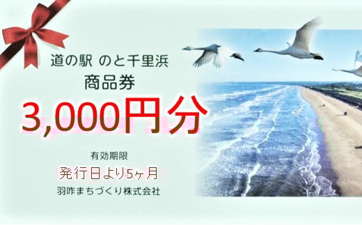 道の駅のと千里浜オリジナル商品券 3000円 クーポン券 金券 ギフト券 プレゼント 贈答品 贈り物 地域振興券 地域商品券 商品交換券 道の駅利用券 観光地 千里浜なぎさドライブウェイ 千里浜海岸 石川県 羽咋 能登 災害復興 復興支援 観光 旅行 お土産
