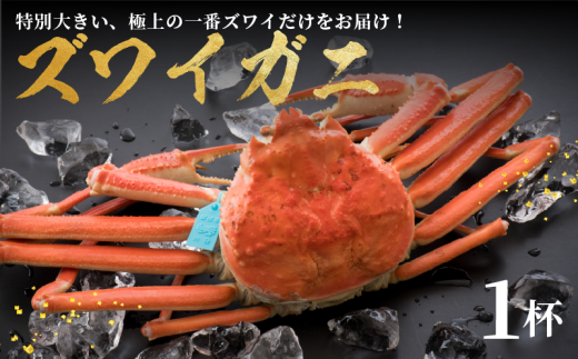 1-3月配送 先行予約 ズワイガニ 茹でたて ボイル 極上 1杯 期間限定 数量限定 新鮮 一杯 約 1.0kg 冷蔵 味覚の王様 加能ガニ 一番 カニ 蟹 こだわり 人気 姫丸 能登 石川県 羽咋市 石川 羽咋 能登 災害支援 復興支援