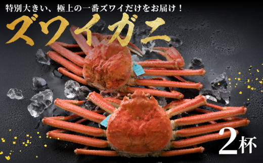 1-3月発送 先行予約 ズワイガニ 茹でたて 極上 2杯 期間限定 数量限定 新鮮 ボイル 一杯 約 1.0kg 冷蔵 味覚の王様 加能ガニ 一番 カニ 蟹 こだわり 人気 カニ味噌 姫丸 能登 石川県 羽咋市 石川 羽咋 能登 災害支援 復興支援