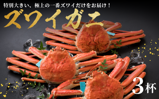 1-3月配送 先行予約 ズワイガニ 茹でたて ボイル 極上 3杯 期間限定 数量限定 新鮮 一杯 約 1.0kg 冷蔵 味覚の王様 加能ガニ 一番 カニ 蟹 こだわり 人気 カニ味噌 姫丸 能登 石川県 羽咋市 石川 羽咋 能登 災害支援 復興支援