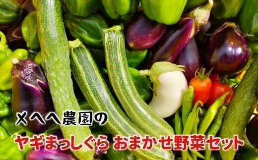 季節 の 野菜 8 ～ 10 品目 詰め合わせ おまかせ 数量限定 新鮮 農薬不使用 セット みずみずしい こだわり 旬 自然 自然派 やさい お野菜 おやさい 季節の野菜 旬野菜 旬の野菜 詰合せ つめあわせ おいしい 美味しい 石川 石川県 能登 のと 羽咋 はくい メへへ農園