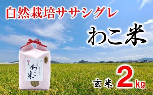 新米 玄米 2kg ササシグレ 自然栽培 幻 お米 自然栽培米 令和7年産 数量限定  わこ米 米 コシヒカリ より あっさり 甘み 石川県 石川 羽咋 能登 復興支援 災害支援 健康