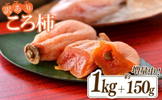訳あり 令和6年産 ころ柿 1kg ＋ 150g 増量 化粧箱 能登 名産 特産品 柿 かき 干し柿 果物 フルーツ くだもの 枯露柿 甘い 北陸 能登半島 石川 羽咋 特産 三雄農園 ふるさと納税柿 ふるさと納税フルーツ