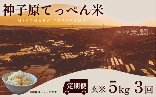 定期便 数量限定 こしひかり 玄米 5kg 3回 神子原 てっぺん米 計 15kg 令和7年産 こだわり もっちり 甘み 食味ランクS 最高評価 genmai gennmai ※ ご飯 ごはん R7 2025年産 おいしい 美味しい 神子原てっぺん米 神子原頂上米 石川県 石川 能登 羽咋 支援 応援 復興応援 復興支援 お米 米 おこめ こめ kome okome ふるさと納税米