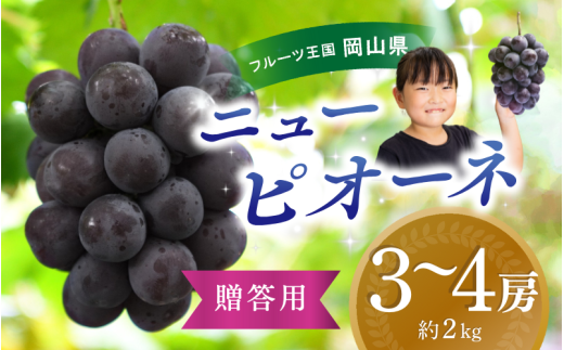 【2026年の先行予約です！】ぶどう 岡山 花笑み農園『ニューピオーネ』約2kg（3～4房） 贈答用 岡山 真庭 ピオーネ 高級 2kg 贈答 2026真庭市 大粒 葡萄 果物 フルーツ 濃厚ピオーネ 人気 数量限定 2026年9月上旬～ 受付順に発送予定 【hana006-02】