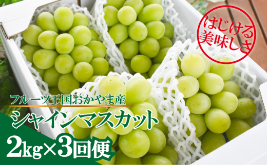 【2026年先行予約】岡山のシャインマスカットを楽しむ満足3回便！3-5房入×3回/全便計6.0kg~ (定期便)(岡山県産)【KF-T047-03】