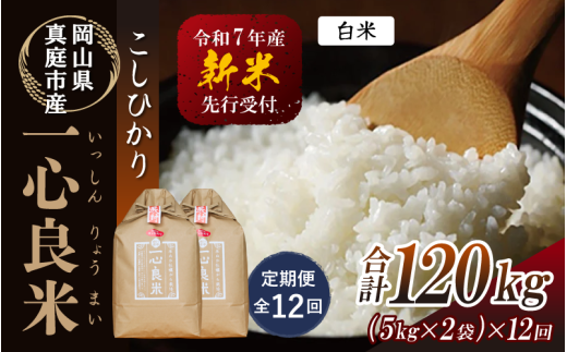 【令和7年産先行予約】＜全12回定期便＞ 真庭市産コシヒカリ 米ぬか 牡蠣栽培米 『 一心良米 』 白米 １０kg(5kg×2袋）×１２回（定期便） / お米 いっしんりょうまい 岡山県 真庭市 白米 米 コシヒカリ こしひかり 人気 ブランド米 新米 先行予約 定期便 令和7年産 2025年産