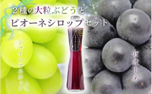 NISSHOKU　FARM　特選　大粒ぶどうとピオーネシロップのセット（シャインマスカット入り）岡山 【nisfarm011-01】