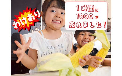 WAKE_20.新鮮 蒜山産 甘い【わけあり】とうもろこし20本