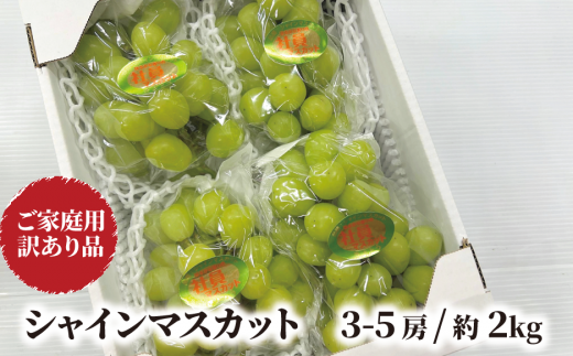KF-B020-02【きよとうファーム】訳ありだけど、甘~いシャインマスカット/約2kg (岡山県産)