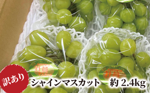 KF-B015-02【きよとうファーム】訳ありだけど、甘~いシャインマスカット/約2.4kg (岡山県産)